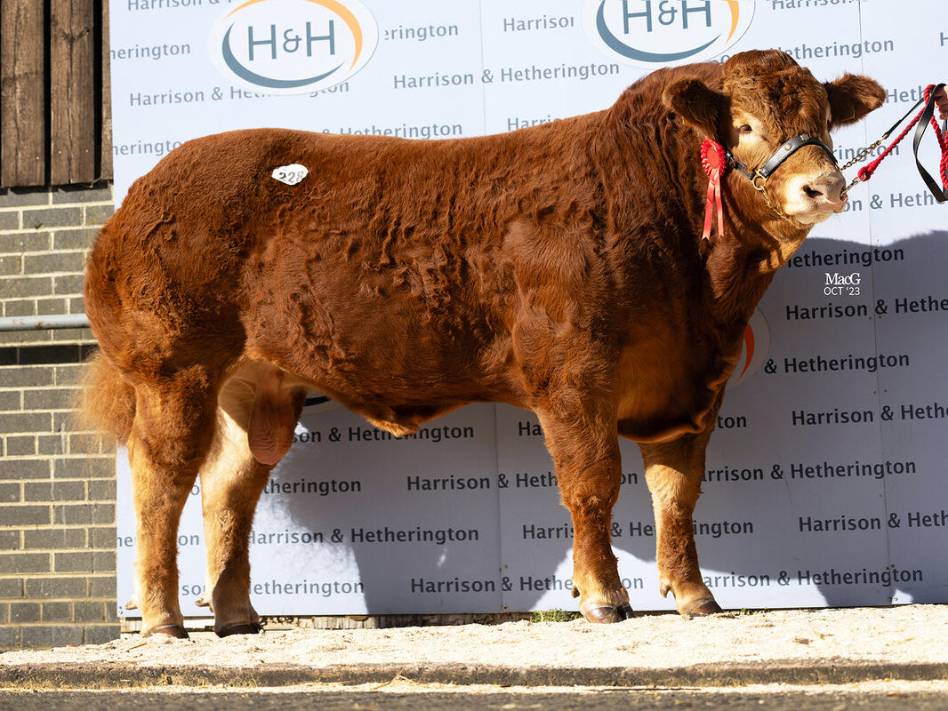 foxhillfarm titan